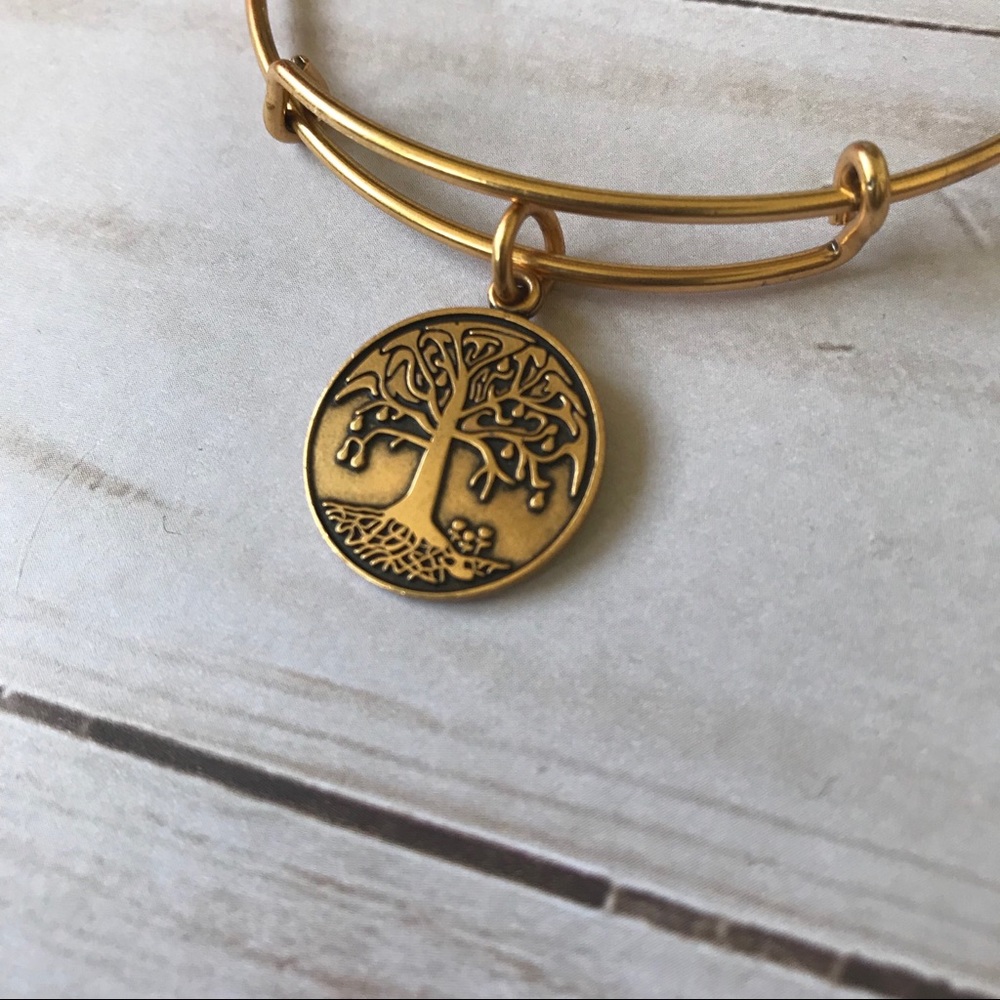 Alex and Ani Bracelet “The tree of life”